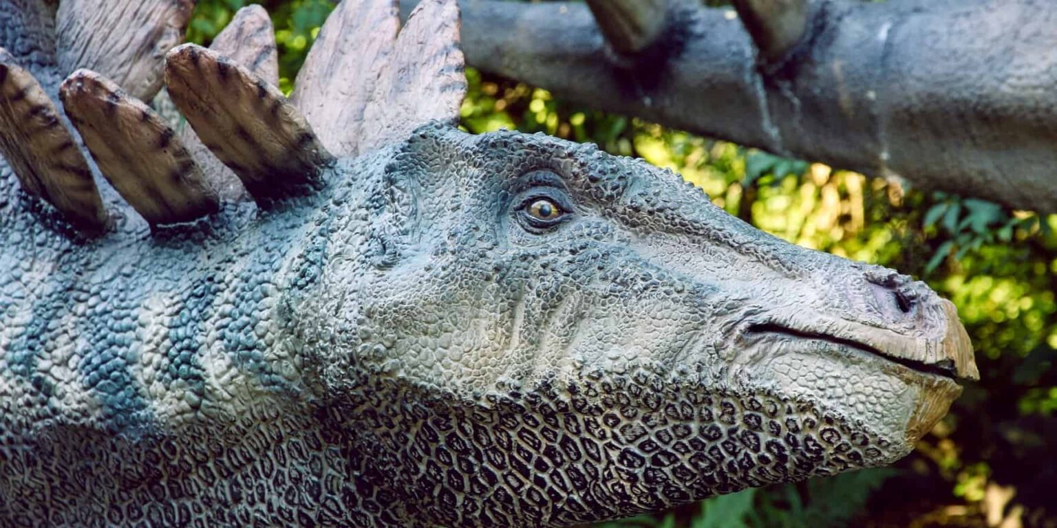 Warum die Dinosaurier ausgestorben sind